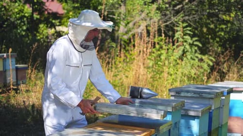 Beekeeper Inspecting Beehives in Rural Area