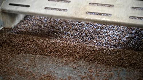 Sorting plastic garbage on a vibrating conveyor belt at waste recycling factory. Slow motion