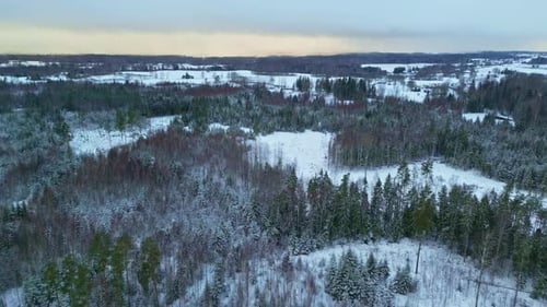 Panoramic bird's eye view over a winter landscape with pine forests and fields.