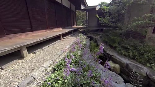 Steadicam shot moving through Japanese dry landscape garden and stream.