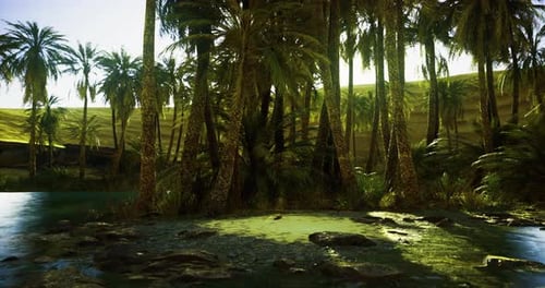 Lush Tropical Oasis with Palm Trees and Serene Water Reflecting Sunlight