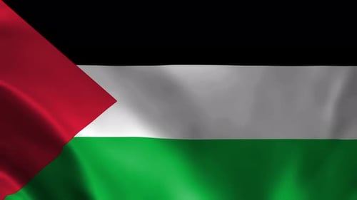 Waving Palestinian Flag Seamless Loop Animation