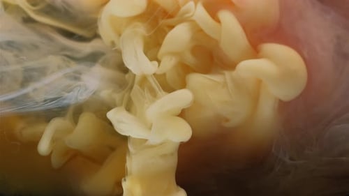 Abstract White Swirl in Golden Liquid