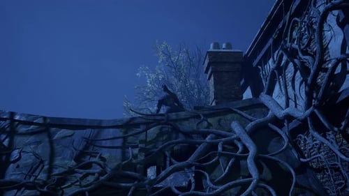 Creepy Haunted House In Foggy Forest: Werewolf Howls On The Roof On A Halloween Horror Night