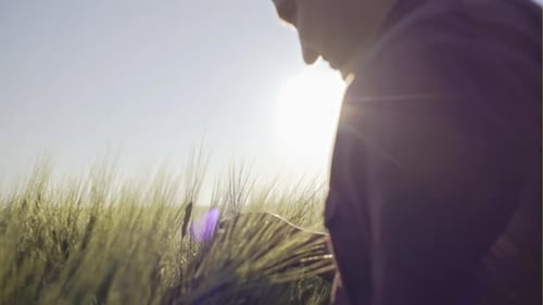 Farmer Checking Field of Rye on Sunny Day