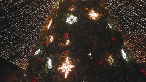 Illuminated Christmas Tree in the Night City Christmas Tree with Lights in City