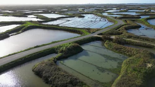 Two Cars Driving on a Narrow Road Between the Salt Marshes Guerande France