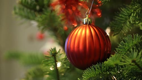 Festive red bauble hanging on Christmas tree