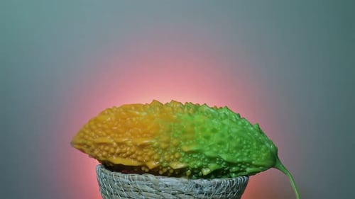 Caméra tournant autour du melon amer (Momordica charantia)