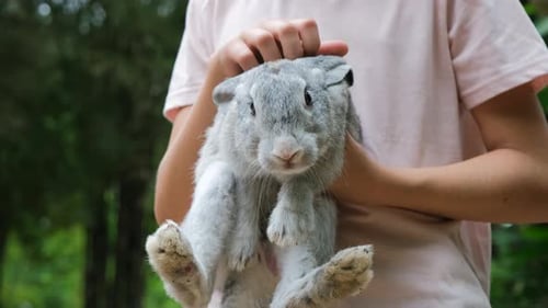 Teen Girl Lovingly Petting Rabbit in a Farm