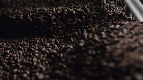 Roasted Coffee Beans Being Stirred by Silver Rods