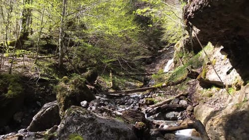 Drone Fly through Magical Forest with Mountain Rriver and Waterfall in Background on a Sunny day in
