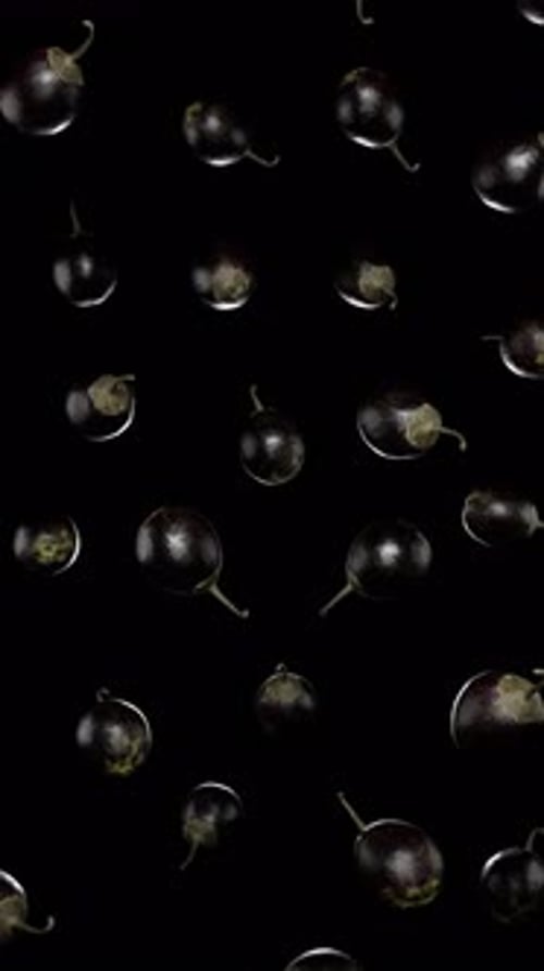 Falling Baby Eggplants on Black Background