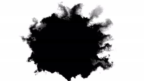 Black ink drop on white Animated ink style mattes background. brush blot, splat, fluid art, overlay,