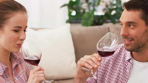 Couple Toasting with Red Wine in Cozy Home