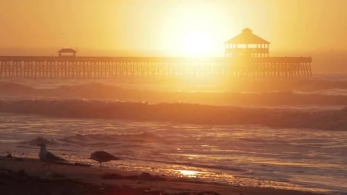 amazing sunrise on beach with silhouette of beach pier and seagulls