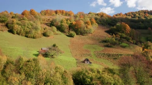Cinematic Natural Environment with Colorful Tree Tops Covering Steep Slopes