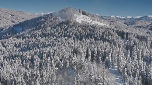 Breathtaking Winter Landscape Showing Snow Covered Fir Trees and Mountain Peak