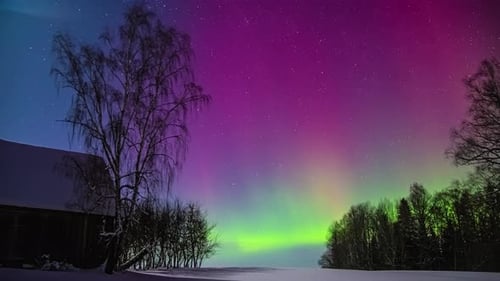 Blue Purple and Green colors flickering at night sky during Aurora Borealis in North Europe during c
