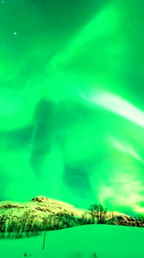 Green Aurora Borealis Over Snowy Winter Landscape