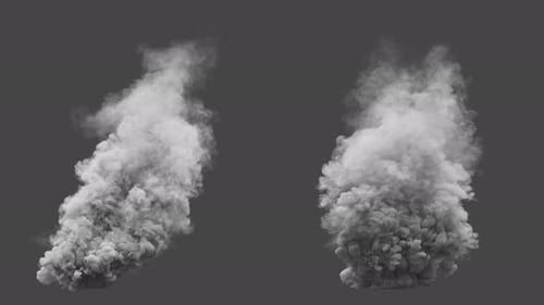 Set of two variations of a white smoke explosion. File contains Alpha Channel.