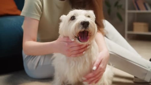 Woman Cuddling Dog Indoors