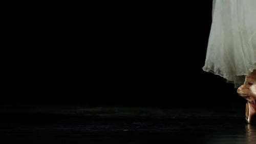 Dramatic Dance Elegant Woman in a White Tutu Dance Ballet and Balancing in Pointe Shoes View of the