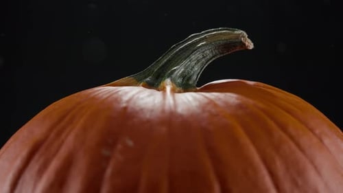 Abóbora laranja e partículas brancas