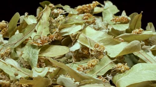 Dried Linden Flowers and Leaves for Herbal Tea