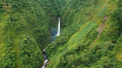Tall waterfall cascading through the dense green rainforest of Costa Rica