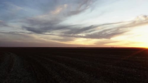 Drone shot of corn field during sunset in Texas