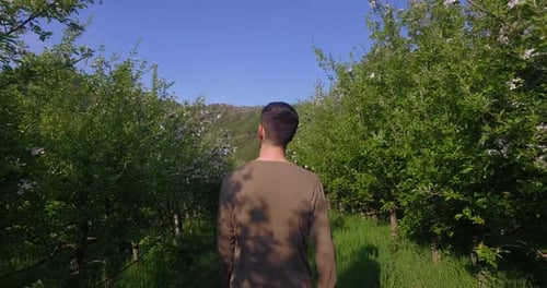 Ein junger Bauer wacht über seine Plantagen, vorbei an wunderschönen Apfelbäumen, am Himmel g