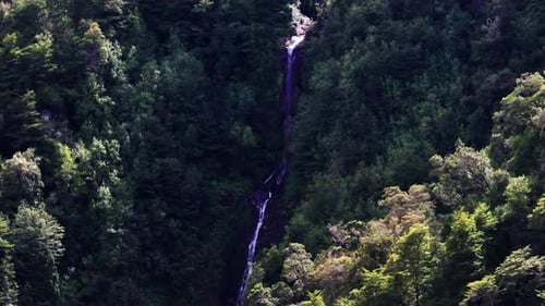 Aerial Forest with Waterfall Hidden in Lush Greenery