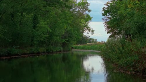 River Flowing Between Dense Green Forest Reflecting Trees on Calm Water Surface River Winding