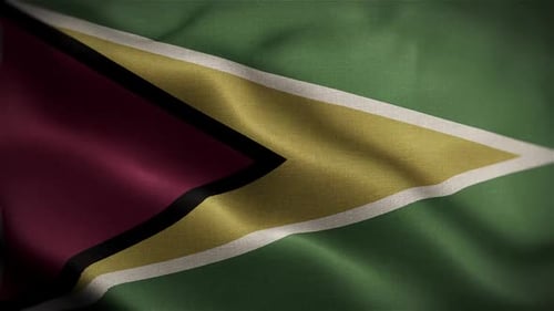 Guyana Wavy Flag In The Wind In Slow Motion Waving Official Flag