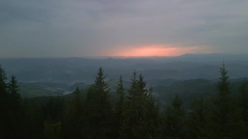 Flying Over Green Forest at Cloudy Day with the Mountains on Horizon with Glowing Clouds Carpathian