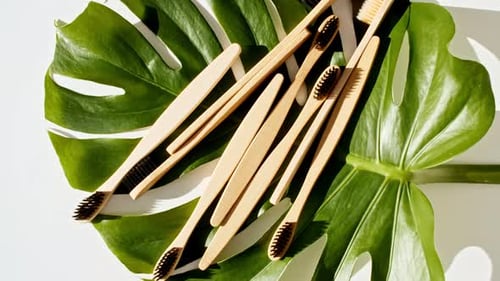 Bamboo Toothbrushes on Monstera Leaf, Eco-Friendly Concept