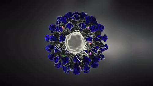 3D Animation of Cellular Process and Microscopic Interactions