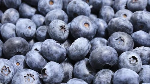 Rotating Blueberries.