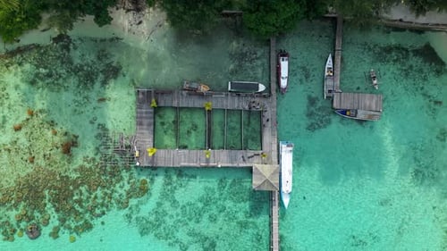 Aerial view of Menjangan Kecil Island, Indonesia.