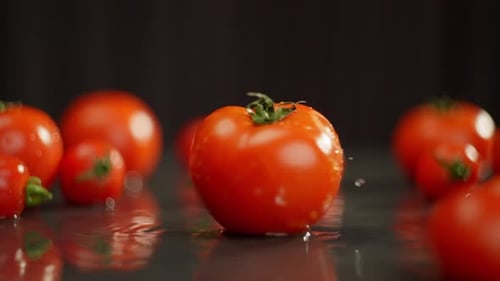Close Up Shot of Wet, Fresh Tomatoes