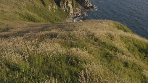 Epic view of a seaside coast line with big steep cliffs, sea waves washing ashore and beautiful gree
