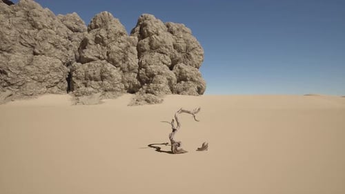 A Lone Tree in the Middle of a Desert