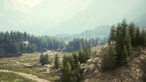 Cross Road on Hillside Meadow in Mountains