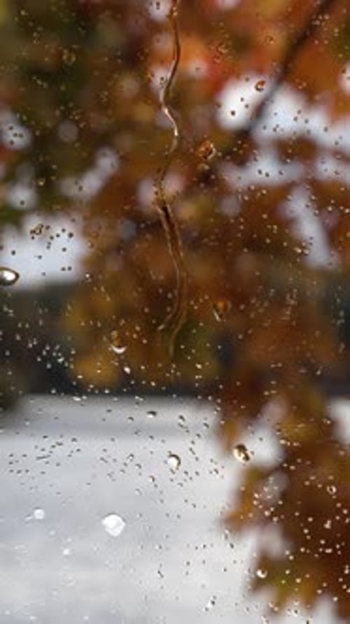 Raindrops Falling on Window Pane with Autumn Background Vertical