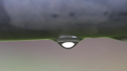 Water droplet formed on bar of gate. UK