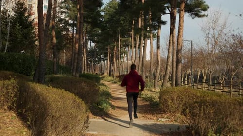Back view of Man Running on Park Trail in Autumn - tracking shot