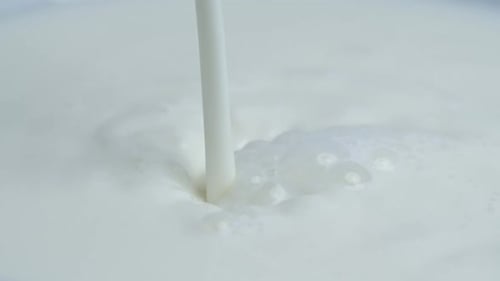 Pouring Fresh Milk 03