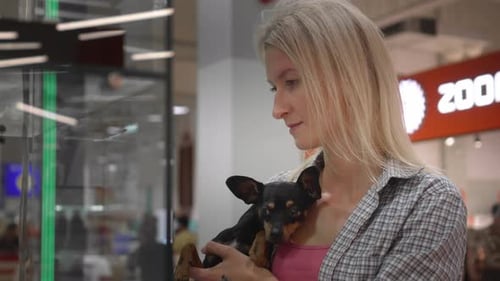 Woman pushing her toy terrier dog in her arms while walking in pet-friendly mall