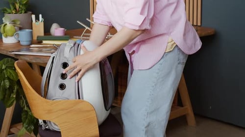 Woman Puts Bengal Cat into Pet Carrier Backpack